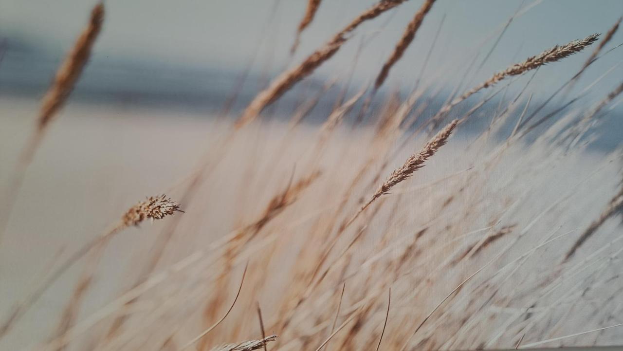 Vila Gile Palanga Buitenkant foto
